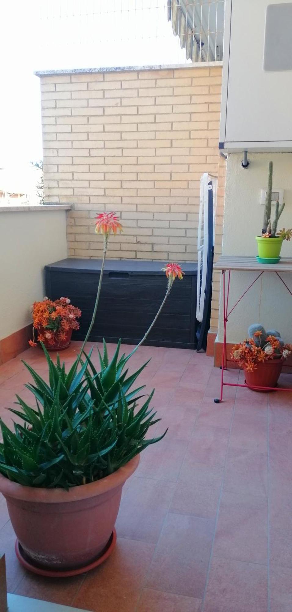 A Few Steps From The Sea Apartment Fiumicino Exterior photo
